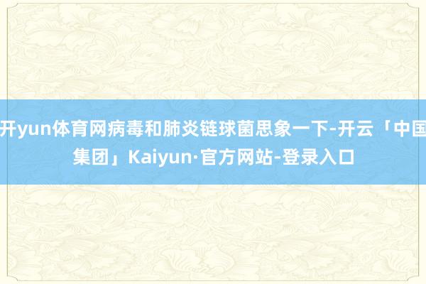 开yun体育网病毒和肺炎链球菌思象一下-开云「中国集团」Kaiyun·官方网站-登录入口