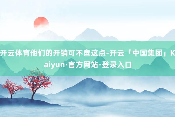开云体育他们的开销可不啻这点-开云「中国集团」Kaiyun·官方网站-登录入口