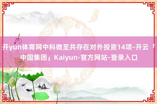 开yun体育网中科微至共存在对外投资14项-开云「中国集团」Kaiyun·官方网站-登录入口