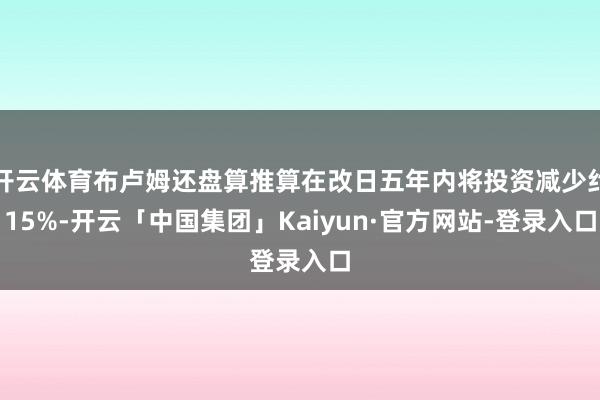 开云体育布卢姆还盘算推算在改日五年内将投资减少约15%-开云「中国集团」Kaiyun·官方网站-登录入口