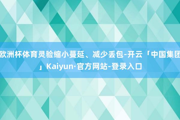 欧洲杯体育灵验缩小蔓延、减少丢包-开云「中国集团」Kaiyun·官方网站-登录入口