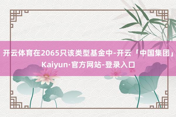 开云体育在2065只该类型基金中-开云「中国集团」Kaiyun·官方网站-登录入口